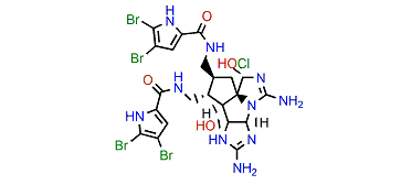 Axinellamine B